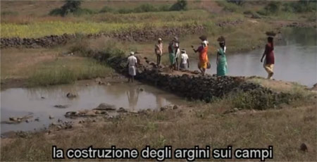 Immagine11