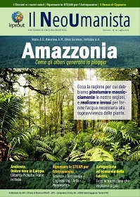 pagina01-300